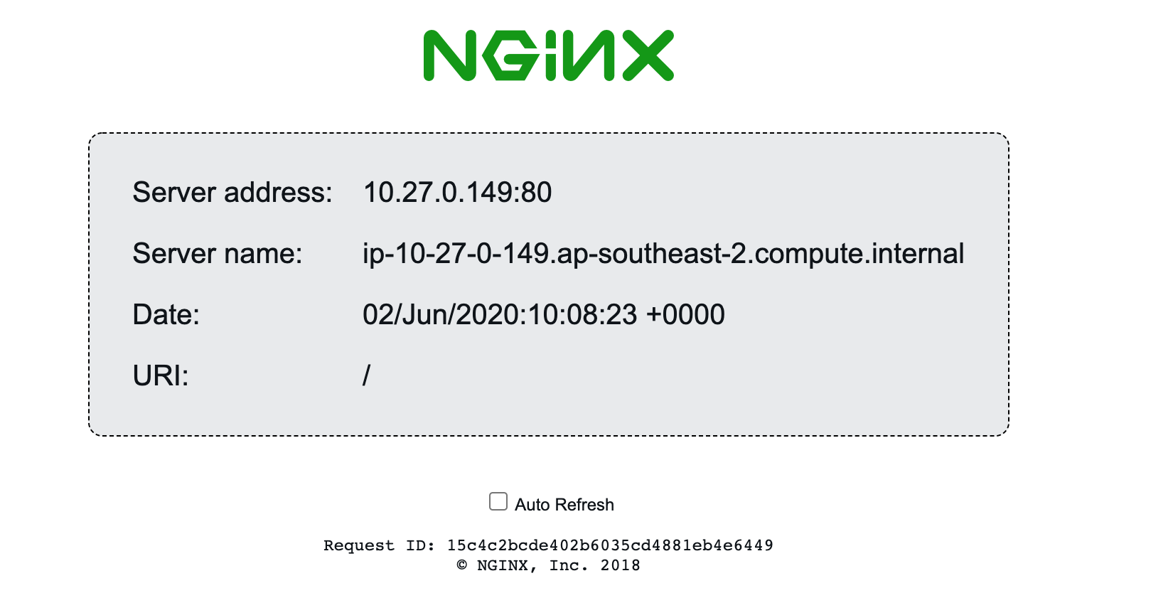 working nginx example